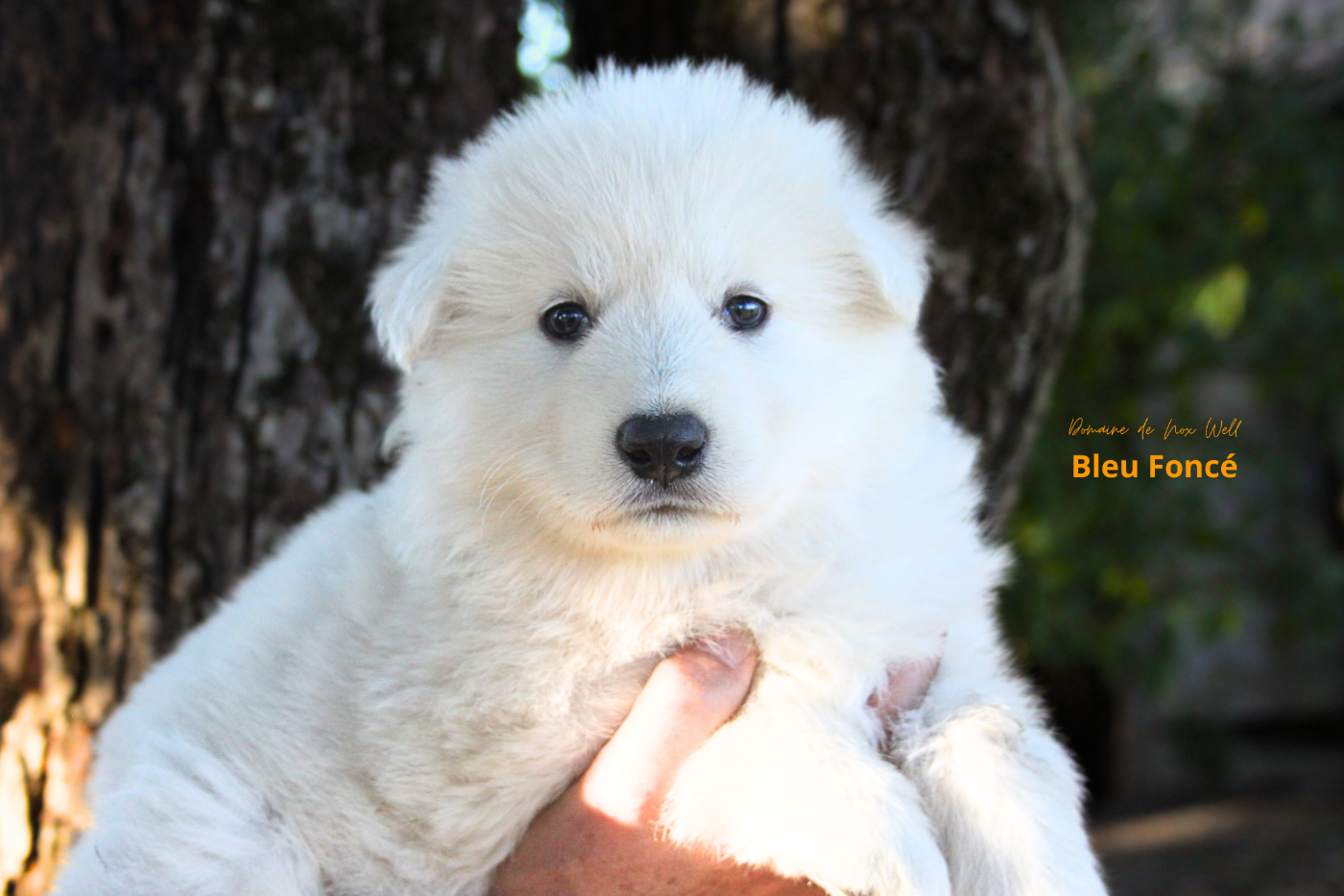 AURI cherche sa famille